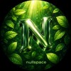 Telegram channel Nullspace🍃 logo