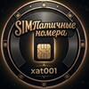 Логотип телеграм канала @numeris_sim — SIMПатичные Номера