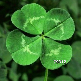 Логотип телеграм канала @numerolog1779 — НУМЕРОЛОГИЯ❤️💰👶🌞