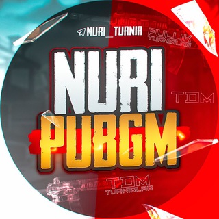 Telegram kanalining logotibi nuri_turnir — NURI - PUBGM