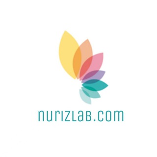 Telegram kanalining logotibi nurizlabcom — Nurizlab.com