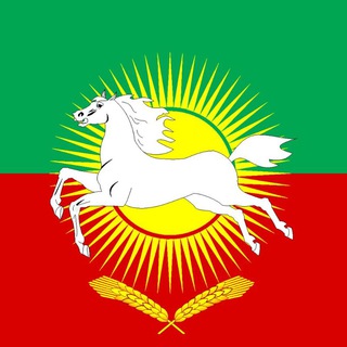 Логотип телеграм канала @nurlat_rt_loc — Nurlat_RT