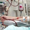 شعار قناة تلجرام nursology_and_doctology — ŅŮŖŚÖĻÖĠŸ ÄŅĐ ĐÖĊȚÖĻÖĠŸ(🧠👨‍⚕️👩‍⚕️🦸‍♂️🦸‍♀️)