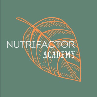 Логотип телеграм канала @nutrifactor_academy — Nutrifactor Academy - Биохимия Здоровья