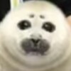Логотип телеграм канала @nvjhffvh — закрыто нахуй°МИША ПОПРЫГУНЧИК°