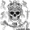 Logo of telegram channel nvr_owl — [ℕ𝕍ℝ] ᴏᴜʀ•ᴡʜᴇᴇʟɪᴇ•ʟɪꜰᴇ