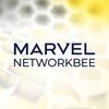 Логотип телеграм канала @nwbee — NetWorkBee Marvel