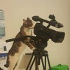Логотип телеграм канала @nwsruvideo — NEWS.ru | Фото и видео