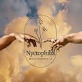 Logo saluran telegram nyctoophiliia — Nyctophilia