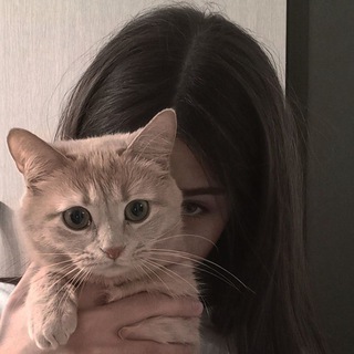 Логотип телеграм канала @nyutan1 — NYUTA