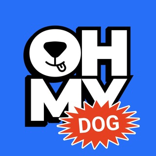 Логотип телеграм канала @o_my_dog — OH MY DOG!