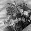 Логотип телеграм канала @o_tone — психология - о чувствах. просто.