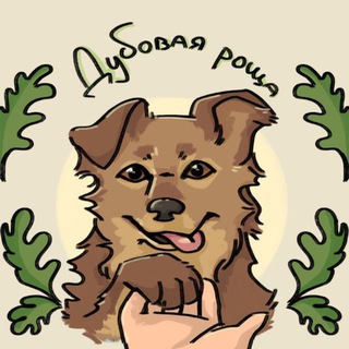 Логотип телеграм канала @oak_grove_help — 🐾Спасем приют в Дубовой Роще