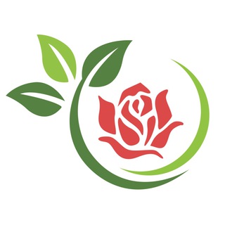 Логотип телеграм канала @oazis_roz — Оазис Роз | Питомник растений