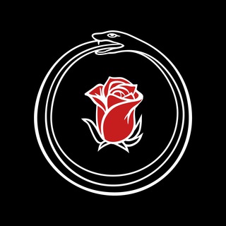 Логотип телеграм канала @oberwave — OBERWAVE