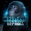 Логотип телеграм канала @obezyanaberloga — Обезьянья Берлога
