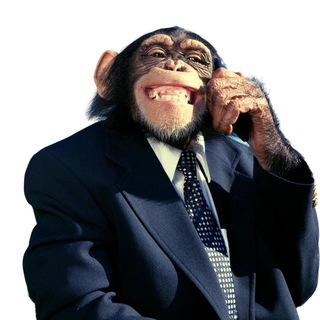 Логотип телеграм канала @obezyanigang — Крутые обезьяны