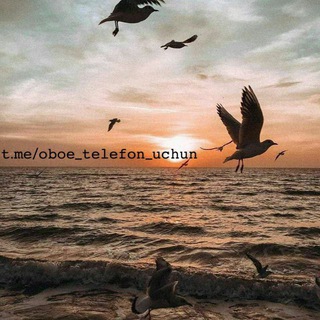 Логотип телеграм канала @oboe_telefon_uchun — 𝓜𝓸𝓸𝓷𝓯𝓵𝓸𝔀𝓮𝓻 🌸