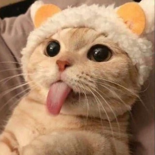 Логотип телеграм канала @oboichiii — ОБОИ | soft wallpaper
