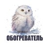 Логотип телеграм канала @obozrevatel11 — ОБО3РЕВАТЕЛЬ 🦉