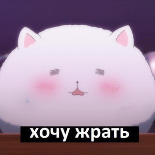 Логотип телеграм канала @obrazj — Образ Жэ