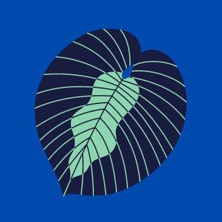 Логотип телеграм канала @obsct — Обществоведение ЦТ/ЦЭ