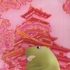 Telegram channel Obscure memes and music logo