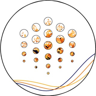 Telegram channel Ocean Protocol (CIS) logo