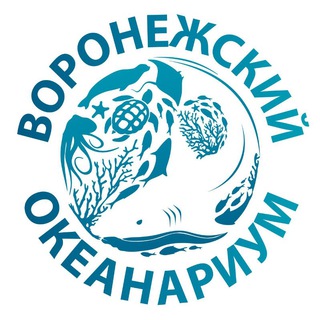 Логотип телеграм канала @oceanarium_vrn — Воронежский океанариум
