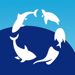 Логотип телеграм канала @oceanariummsk — Океанариум РИО
