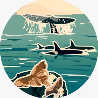 Логотип телеграм канала @oceanfriendsteam — Друзья океана | Сахалин