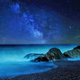 لوگوی کانال تلگرام oceano_o — • ØCЄÅƝ || محيط ❥• َ