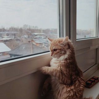 Логотип телеграм канала @octoberwitch — Захотела и смогла