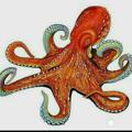 Logo saluran telegram octopussir — OCTOPUS FIXER 🐙