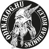 Telegram channel ⊕din.bl⊕g.hu logo