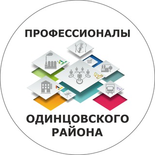 Логотип телеграм канала @odin_business — Профессионалы Одинцово