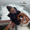 Логотип телеграм канала @odiumopium — одиум опиум