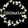 Логотип телеграм канала @odonata_art — ODONATA