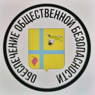 Логотип телеграм канала @odshestvennaya_bezopasnost — Общественная безопасность