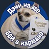 Telegram channel мемОДельня logo