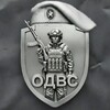 Логотип телеграм канала @odvsmsk — Один день в Спецназе