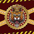 Logo saluran telegram ofctiger — @.ofctiger