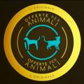 Logotipo do canal de telegrama offerteperanimalioriginal - Offerte per Animali™