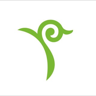 Telegram арнасының логотипі official_nis — NIS