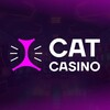 Логотип телеграм канала @official_channel_catcasino — Cat Casino