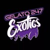 Logo of telegram channel officialgelato247 — Gelato247_Exotics