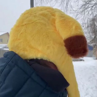 Логотип телеграм канала @officialivanko — ivanko