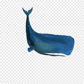 Логотип телеграм канала @offwhale — Офисный кит