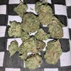 Logo of telegram channel og_exotic420 — 🍁Stunners highway🍁