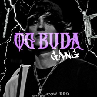 Логотип телеграм канала @ogbudakgang — OG BUDA GANG